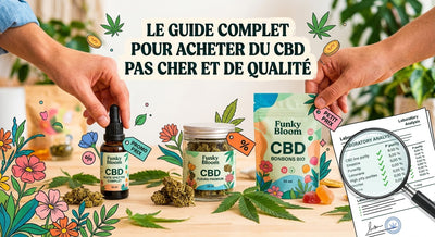 CBD Pas Cher : Guide Complet pour Acheter du Cannabidiol de Qualité sans se Ruiner