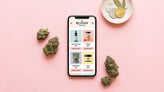 CBD pas cher : quel est le meilleur site pour acheter en France ?