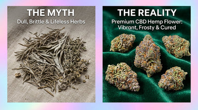 CBD pas cher = mauvaise qualite ? On demonte les idees recues