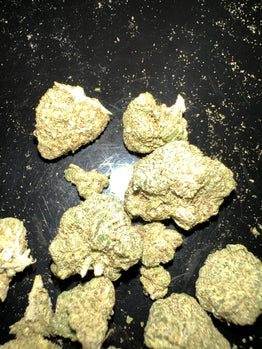 Thomas Rivière review