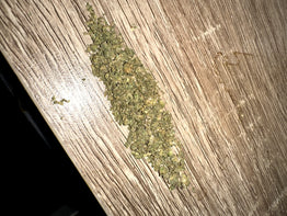 Laura Fontaine review