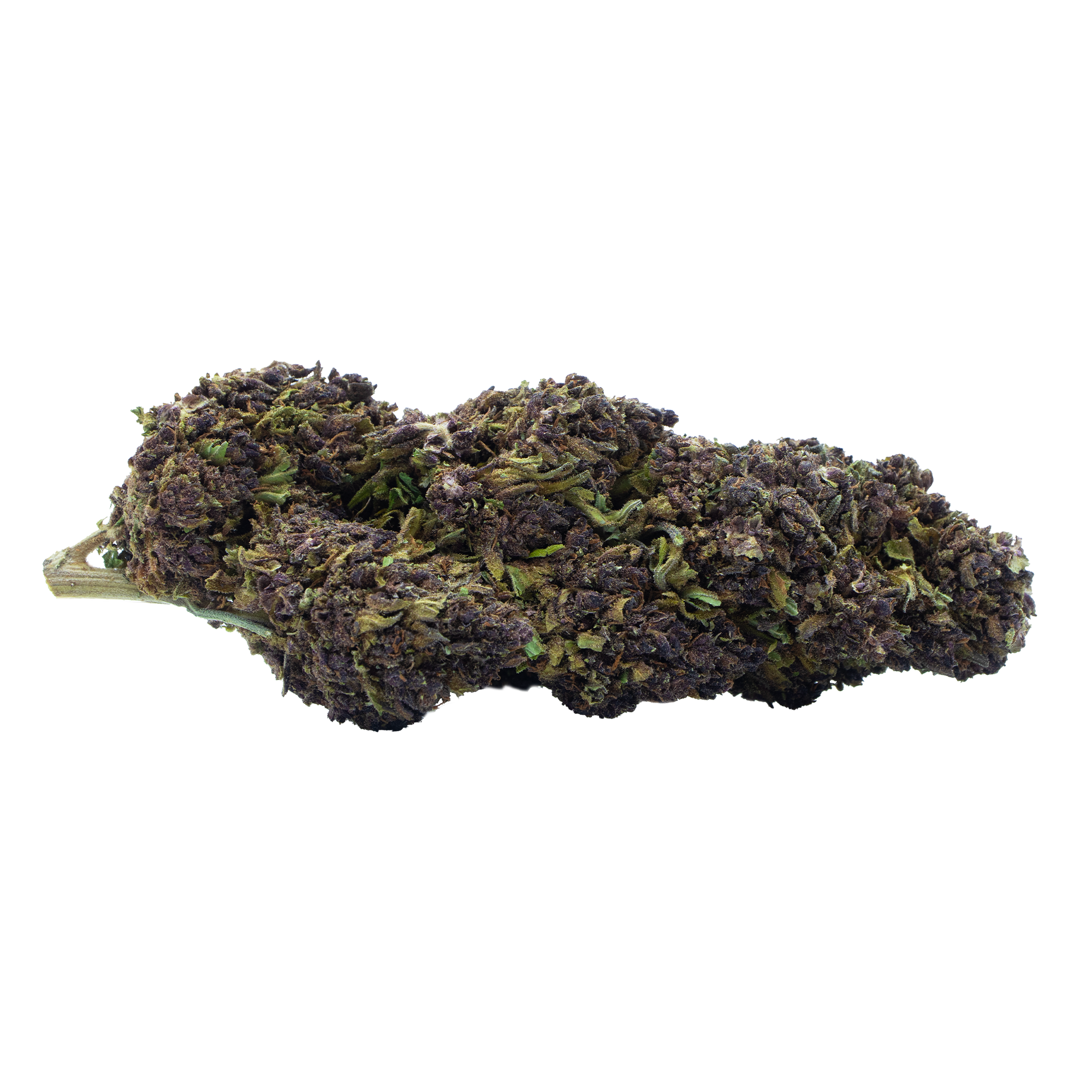 Purple Haze CBD fleur premium violette relaxante - Funky Bloom