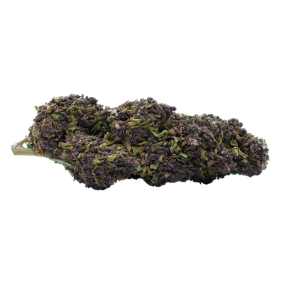 PURPLE HAZE CBD