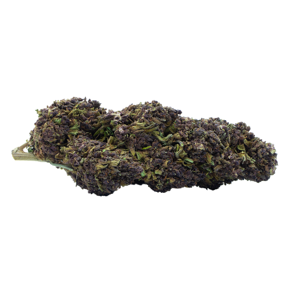 PURPLE HAZE CBD