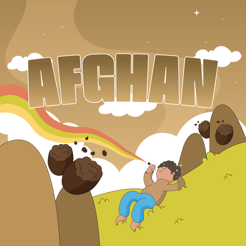 AFGHAN HASH CBD