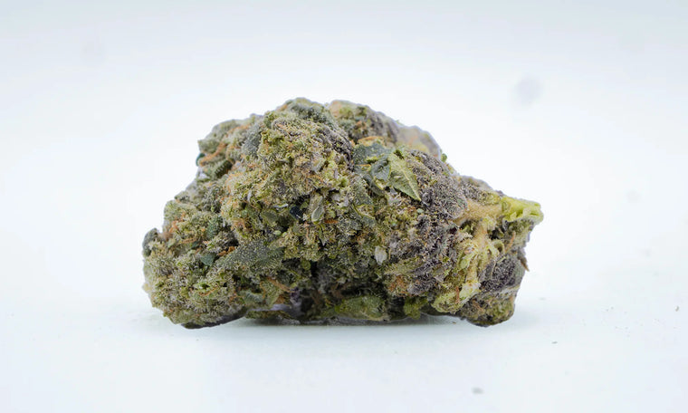 AMNESIA FROZEN CBD