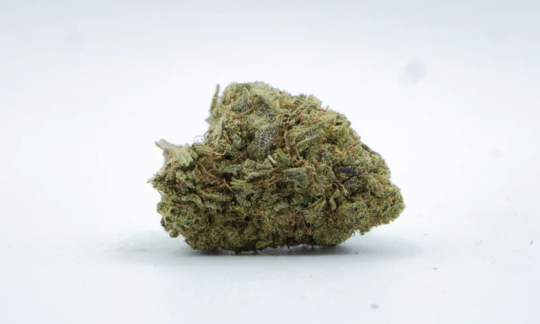 AMNESIA KUSH CBD