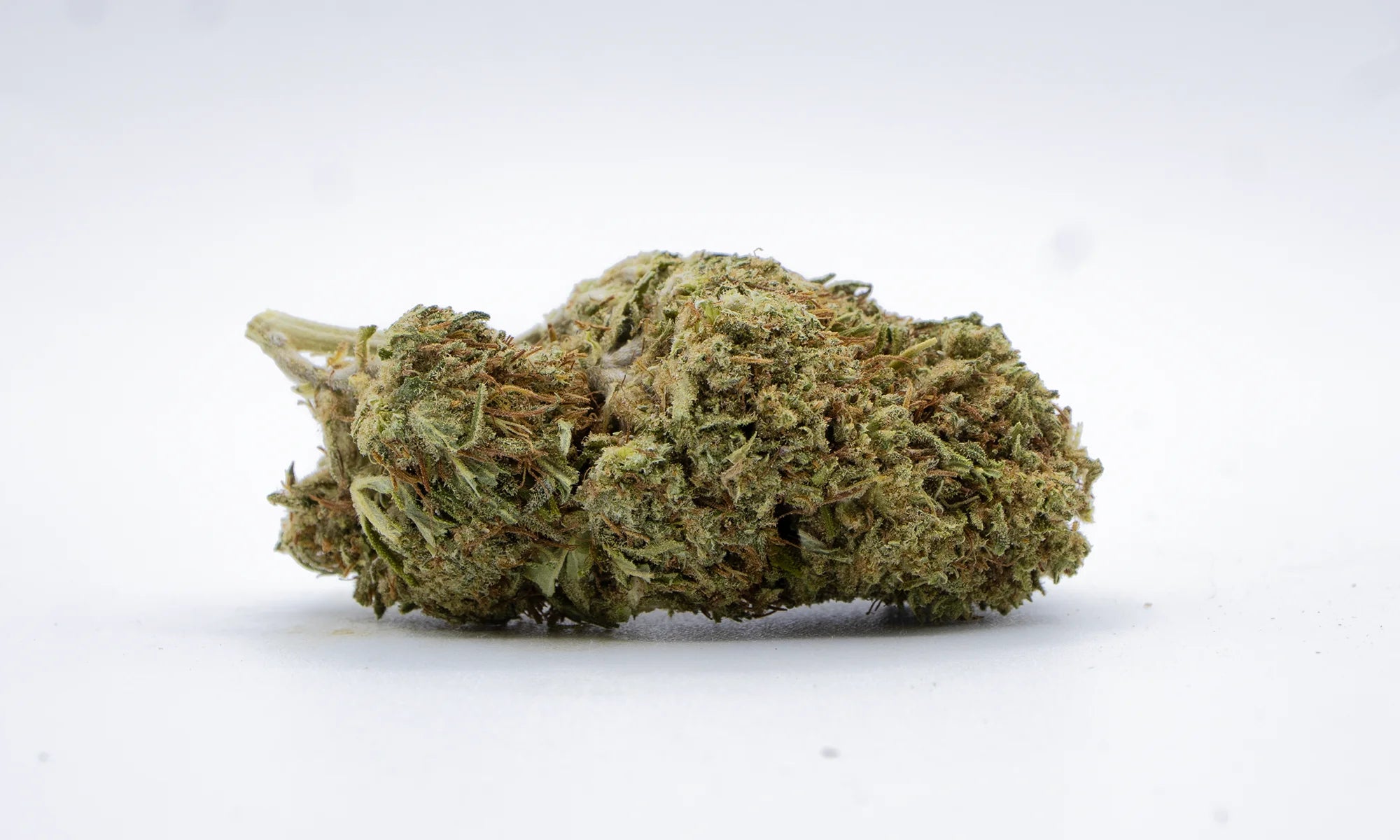 Fleur CBD Gelato indoor premium - Funky Bloom